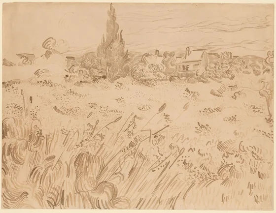 Wheatfield, Saint-Rémy de Provence