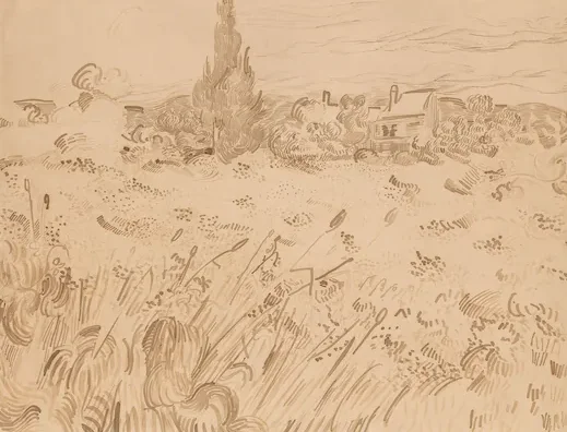 Wheatfield, Saint-Rémy de Provence