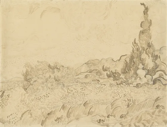 Wheatfield with Cypresses