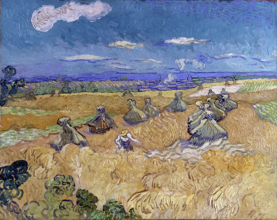 Wheatfield with sheaves and reaper