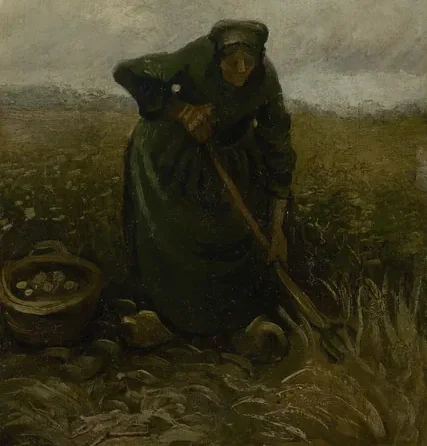 Woman Lifting Potatoes
