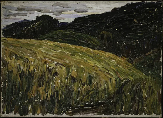 Kochel, prairie de montagne