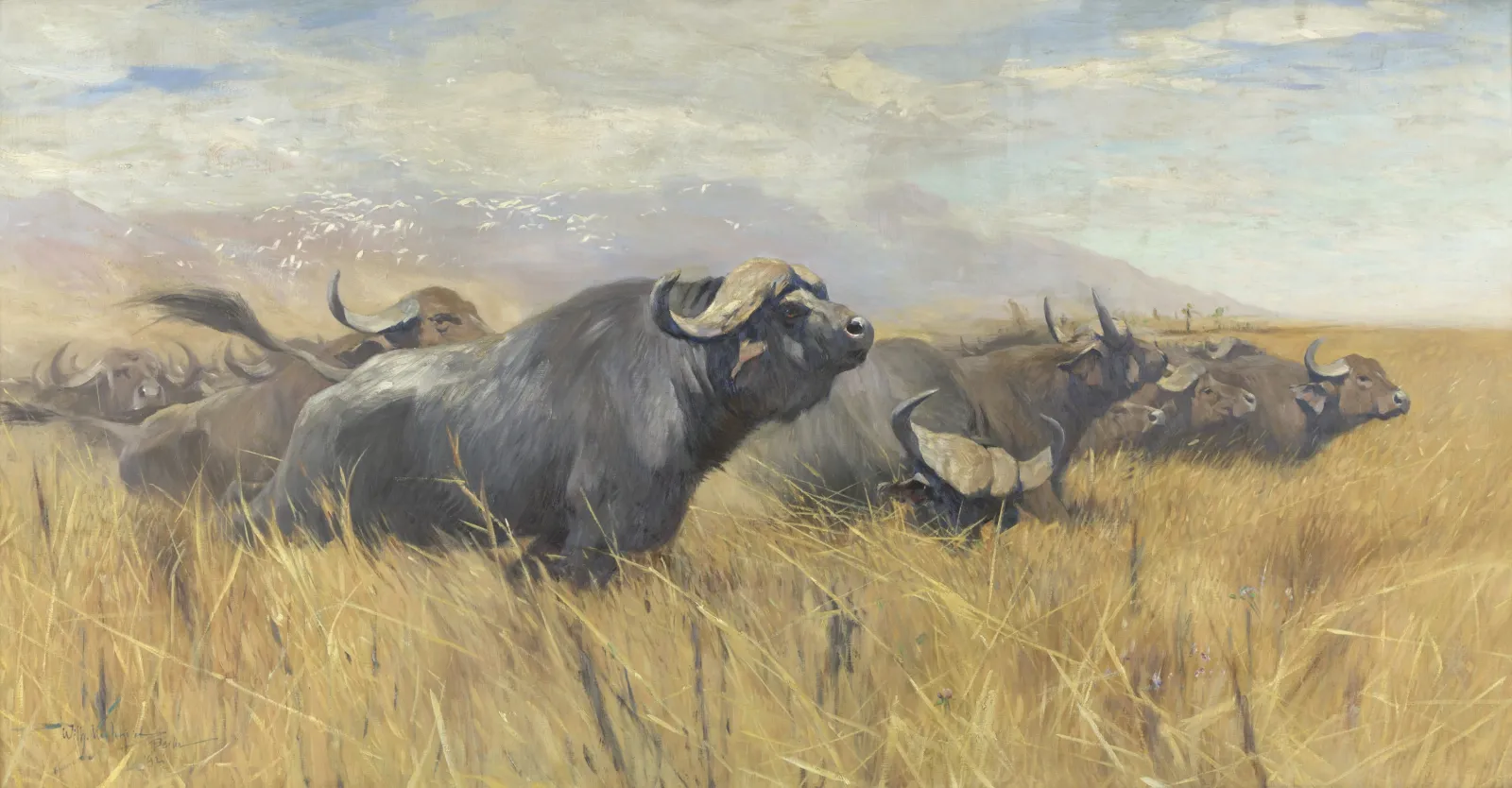 Herd of hunted African buffalo and cattle egrets, Wilhelm Kuhnert