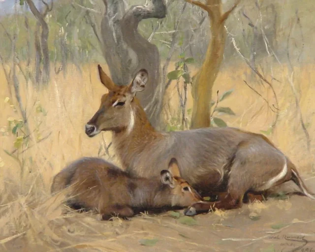 Waterbucks, doe with calf, Wilhelm Kuhnert
