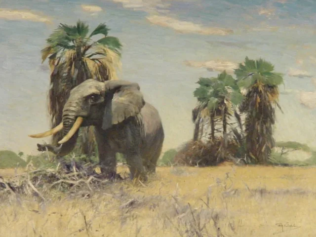 African elephant near palmyra palms