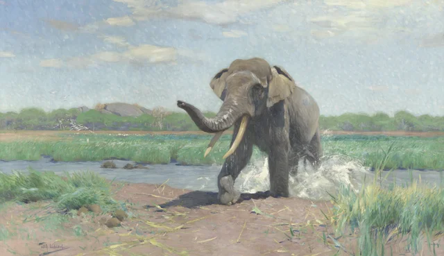 Indian elephant stepping out of the water, Wilhelm Kuhnert
