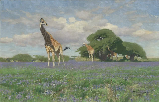 Girafes dans la plaine fleurie de l'Ulanga