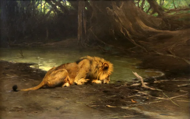 Lion at the watering hole