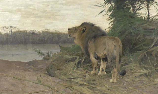 Lion at the Ruaha River, Tanzania, Africa, Wilhelm Kuhnert