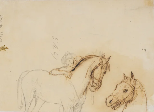 Caballo y cabeza de caballo