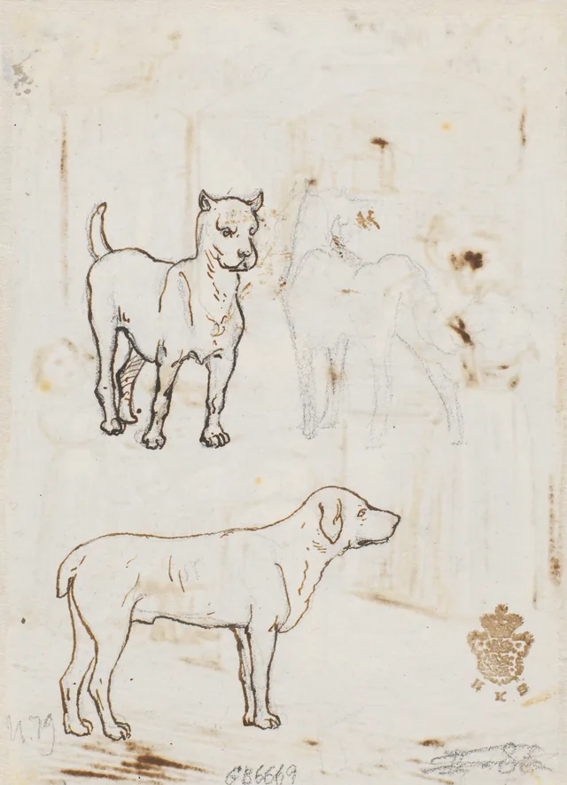 二匹の犬
