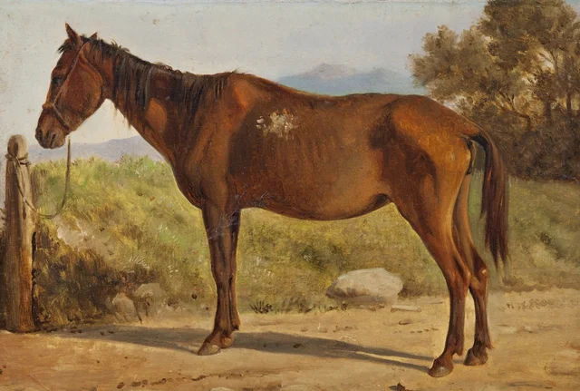 Rocinante (estudio de un viejo caballo de pie), Wilhelm Marstrand