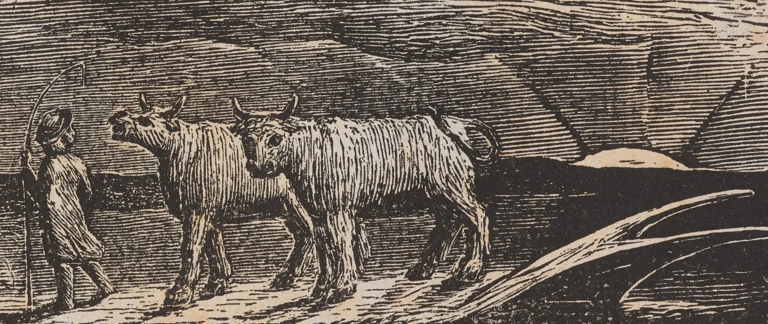 Las Pastorales de Virgilio: El regreso del pastor, William Blake