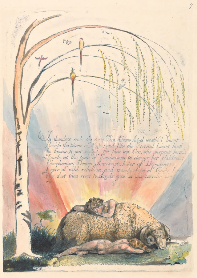 Amérique, une prophétie, planche 9 : « In thunders ends the voice. Then Albions Angel wrathful burnt... »