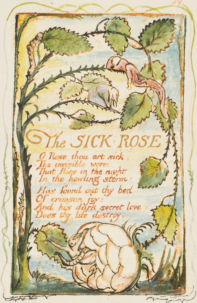 Songs of Experience: The Sick Rose