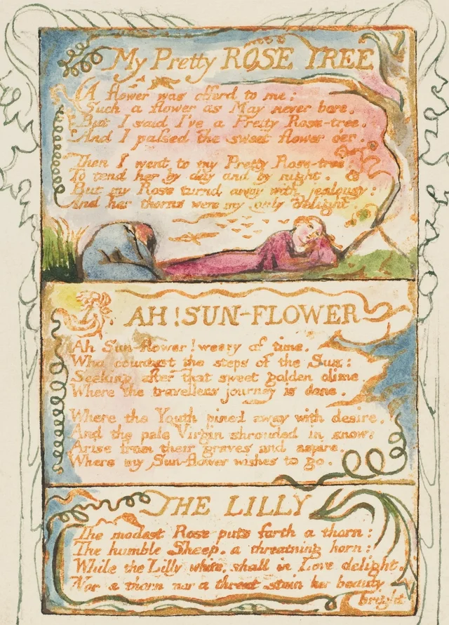 Songs of Experience: My Pretty Rose Tree, Ah! Sun-Flower, The Lilly
