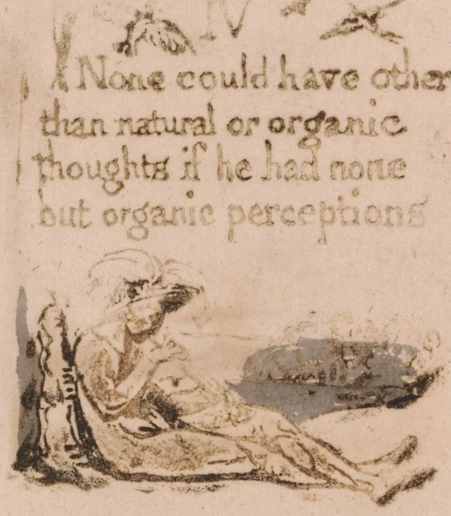Il n'y a pas de religion naturelle, planche 6 : IV. « None could have other than natural or organic thoughts... »