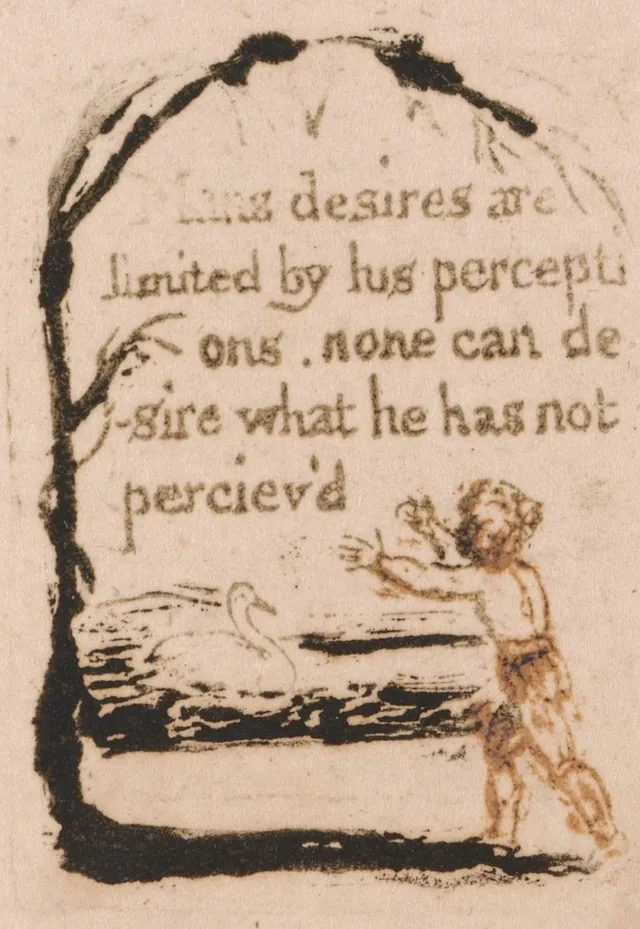 Il n'y a pas de religion naturelle, planche 7 : V. « Mans desires are limited by his perceptions... »