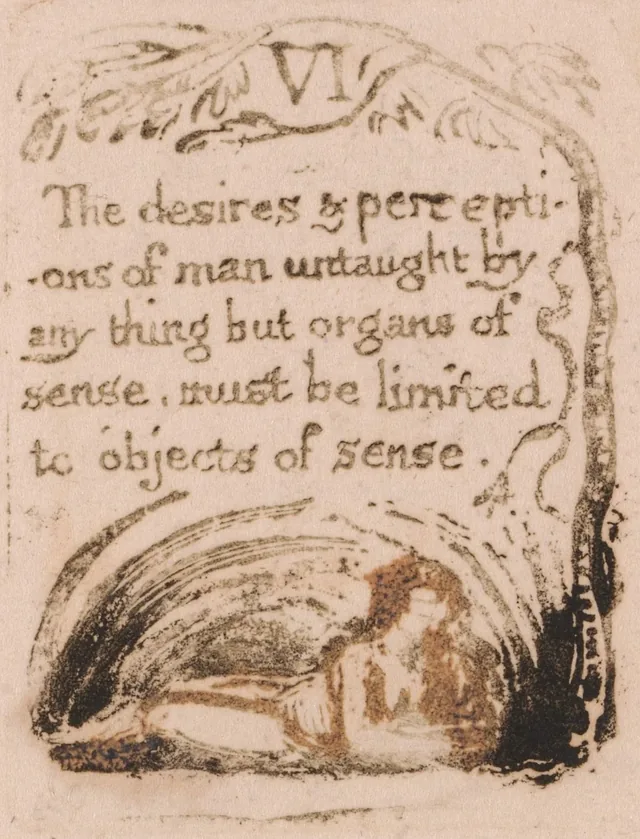 Il n'y a pas de religion naturelle, planche 8 : VI. « The desires & perceptions of man untaught... »