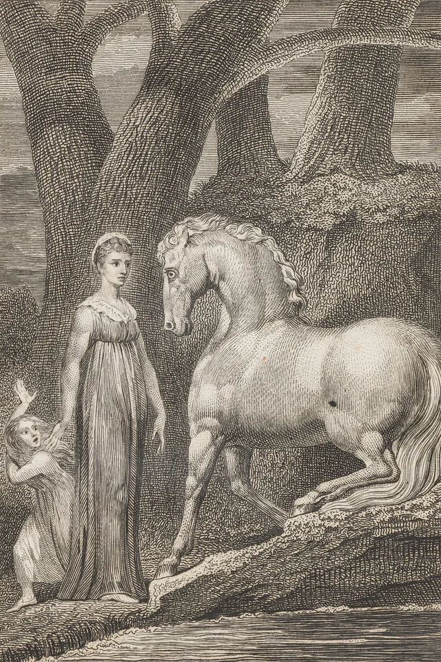 El caballo