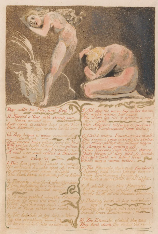 ユリゼンの第一の書、図版19：「They call'd her Pity, and fled...」