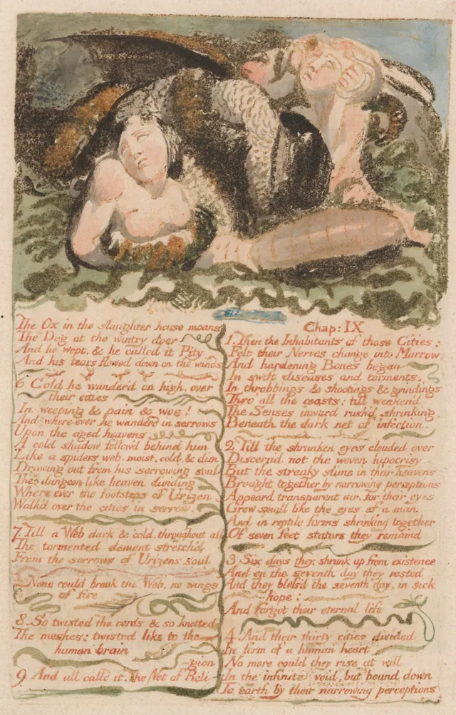 The First Book of Urizen, plate 26: "The Ox in the slaughter house moans..."