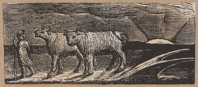 The Pastorals of Virgil: Return of the Shepherd