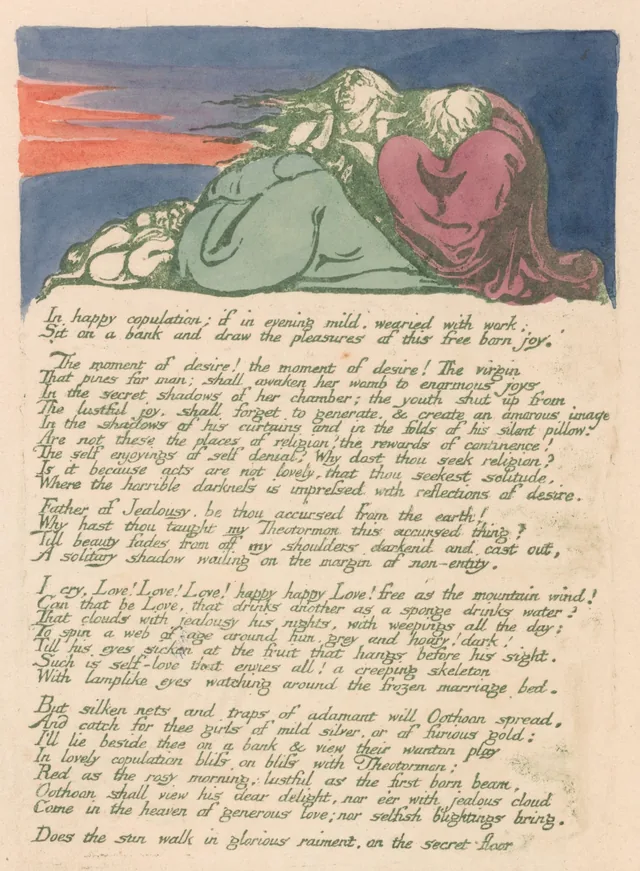 アルビオンの娘たちの幻視、図版10：「In happy copulation; if in evening mild, wearied with work...」