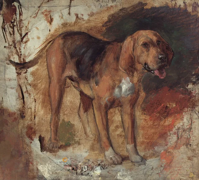 Estudo de um cão de caça, William Holman Hunt