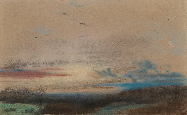 Um bosque ao pôr do sol