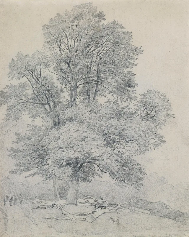 Um olmo-montano em Hawley, Hampshire, William Mulready