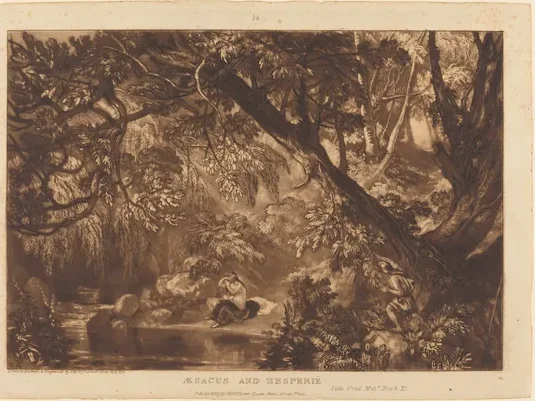 Aesacus and Hesperie — J. M. W. Turner