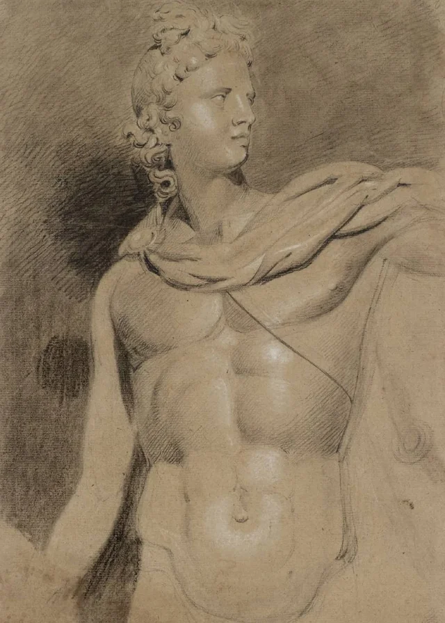 A cabeça e o torso do Apolo do Belvedere