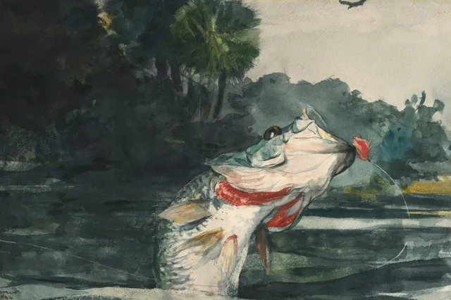 Life-Size Black Bass, Winslow Homer