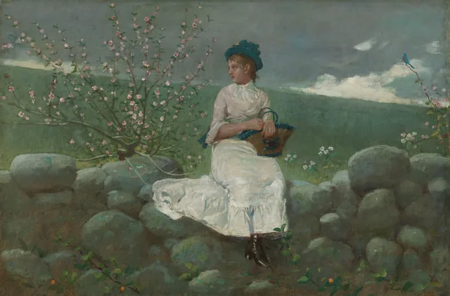 Peach Blossoms