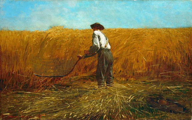 O veterano em um novo campo