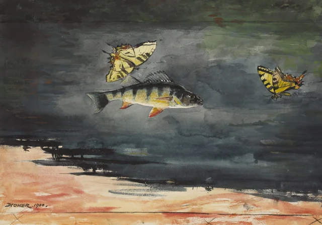 Fish and Butterflies, Winslow Homer