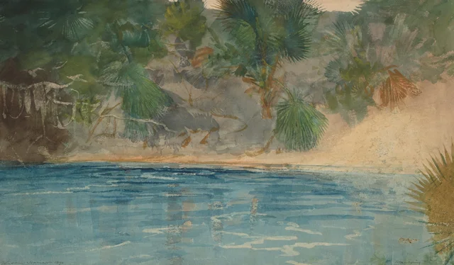 Fuente azul, Florida, Winslow Homer