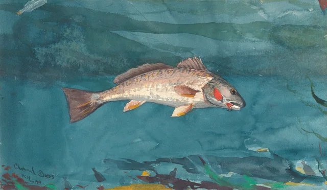 Channel Bass