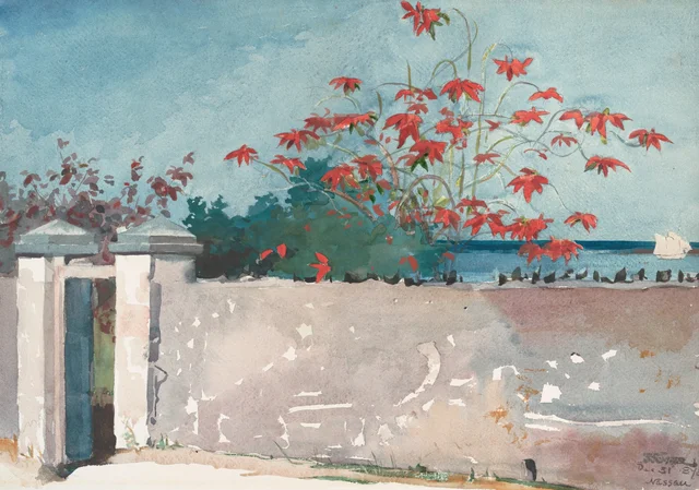 A Wall, Nassau, Winslow Homer
