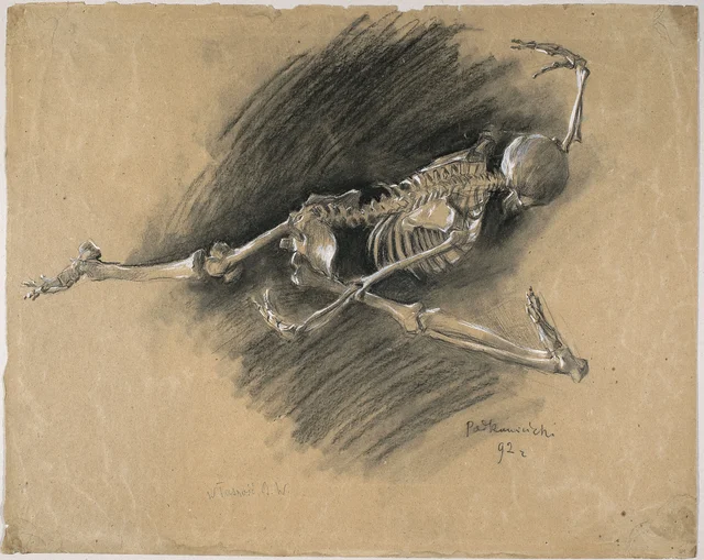 Estudo de esqueleto para o quadro «A Dança dos esqueletos», Władysław Podkowiński