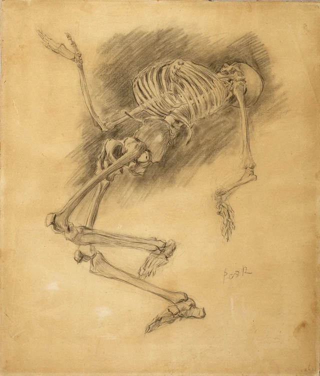 Estudo de esqueleto para o quadro «A Dança dos esqueletos», Władysław Podkowiński