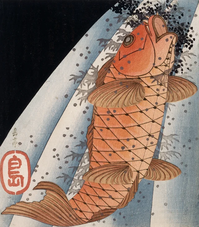 Carpe rouge remontant une cascade, Yashima Gakutei