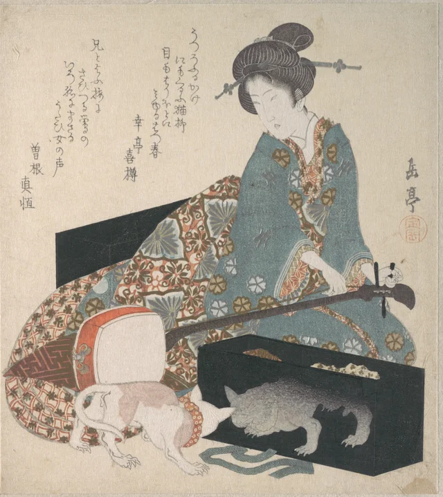 Femme accordant un shamisen, et un chat qui regarde son reflet