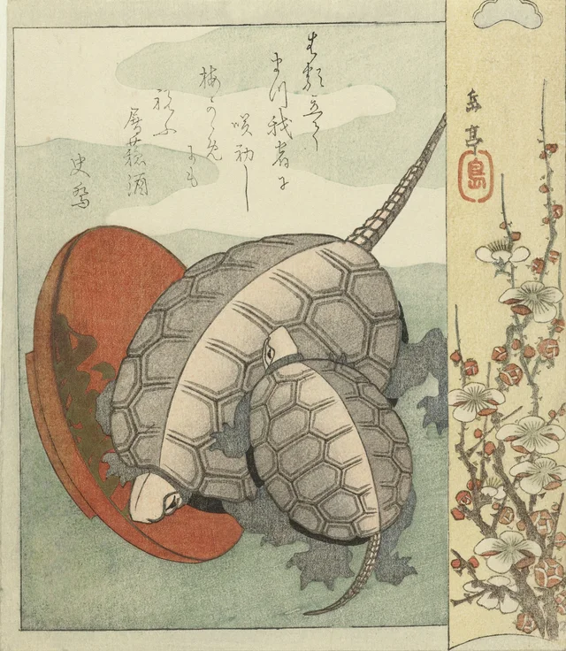 Turtles with a sake cup, Yashima Gakutei
