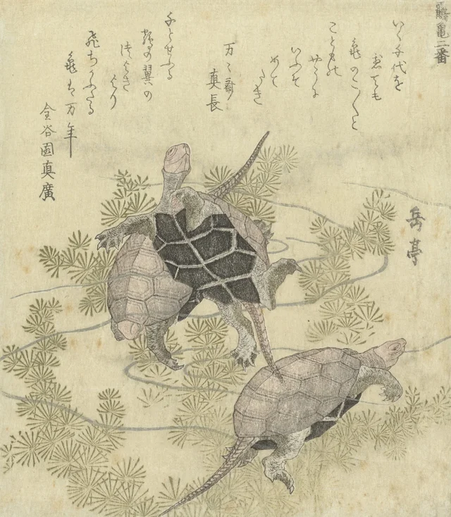Trois tortues parmi les plantes aquatiques, Yashima Gakutei