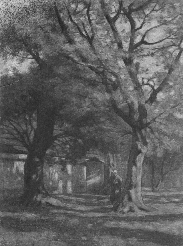 Landscape