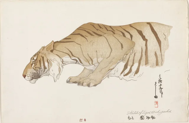 Sketch of a Tiger