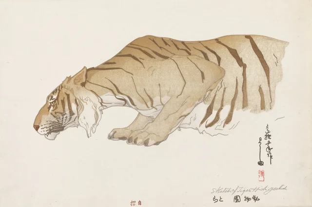 Croquis d'un tigre, de la série Au jardin zoologique, Yoshida Hiroshi