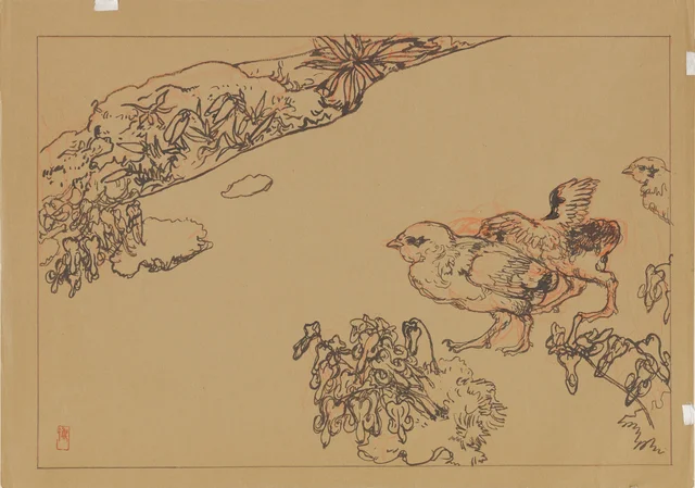 Study for Snow Grouse and Dicentra Flowers